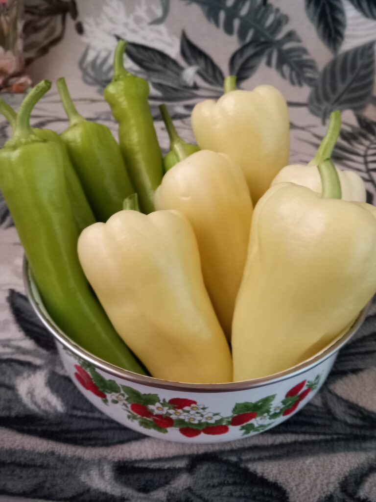 Paprika a kertemből.